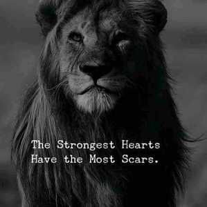 Meet your Posher, Colleen